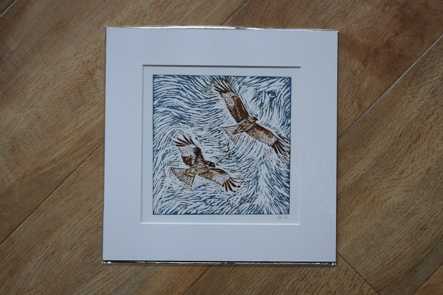 Red Kites