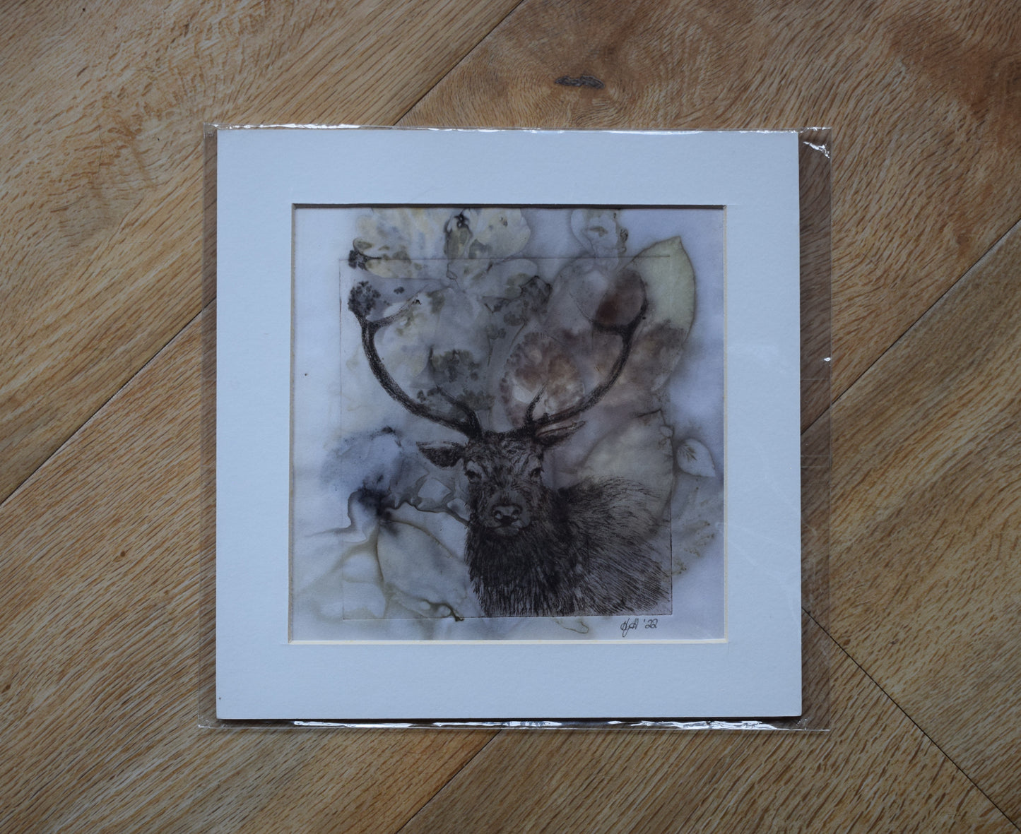 Stag
