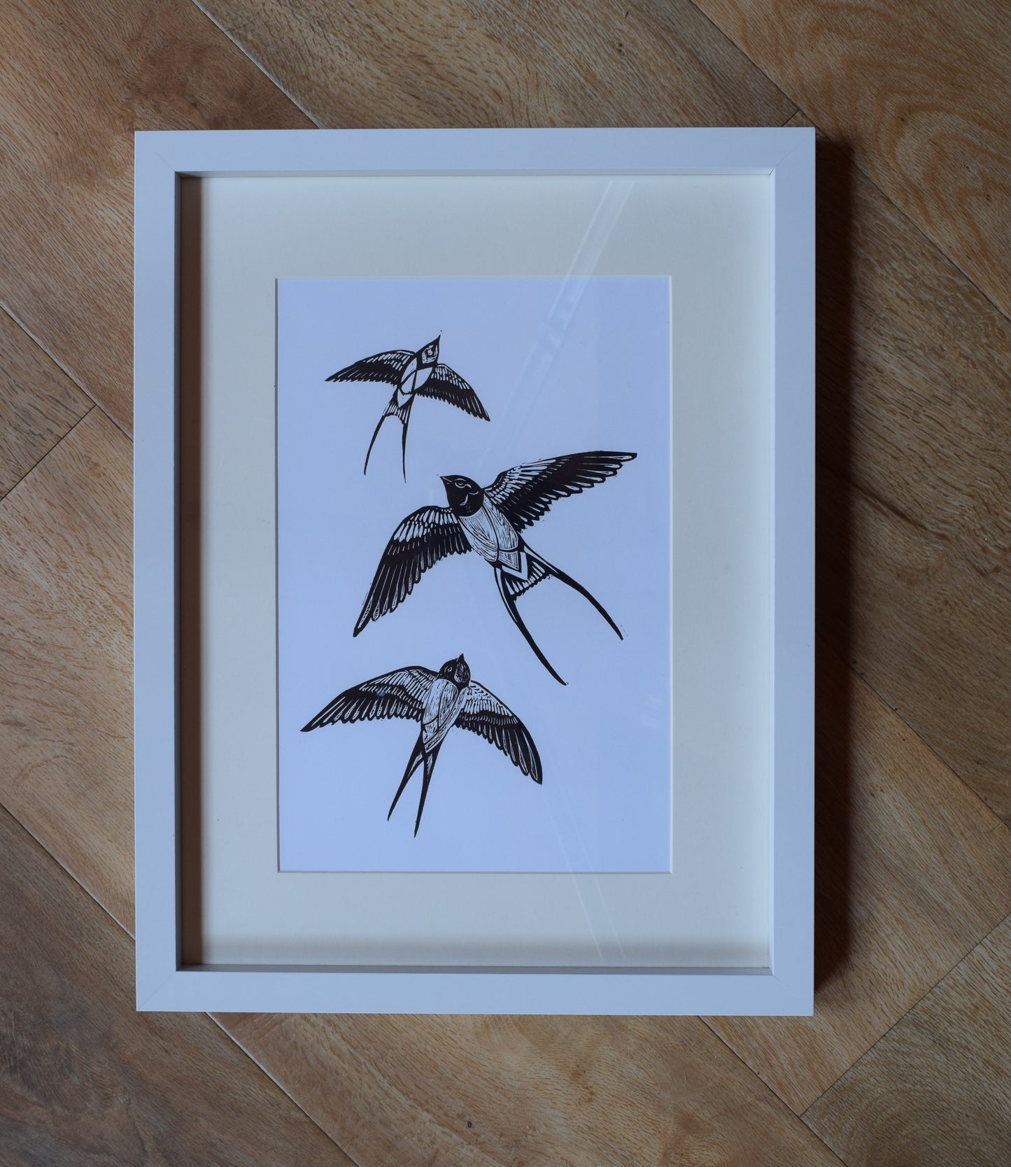 Swallows
