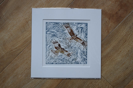 Red Kites