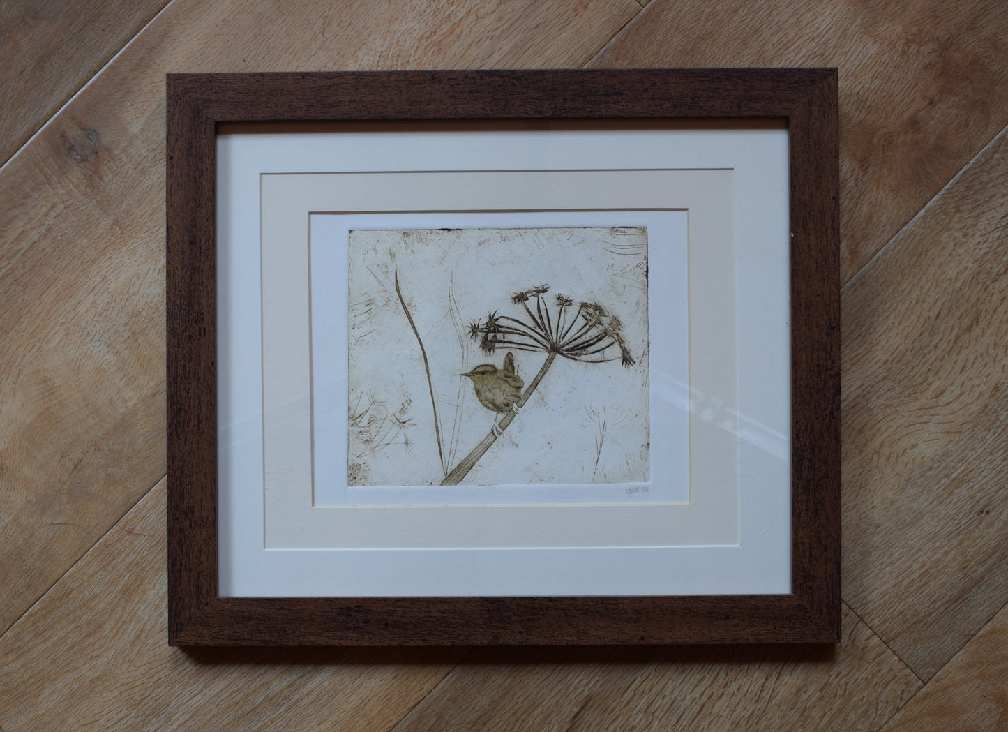 Perching Wren